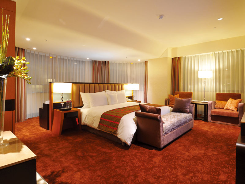 Monarch Skyline Hotel ‧ Room Introduction
